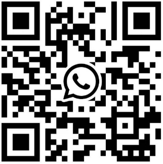 +818763673812